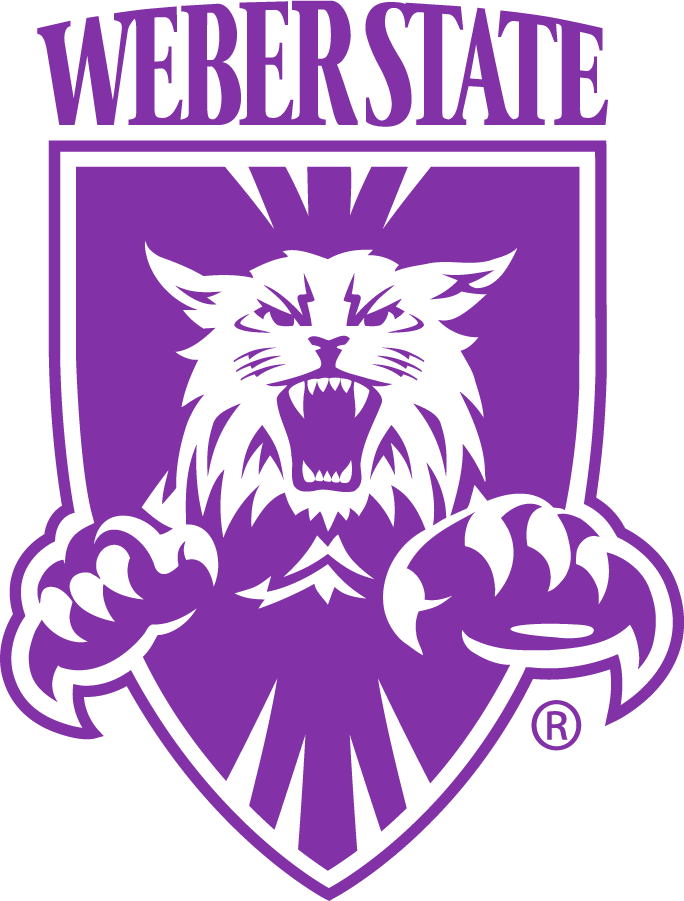 Weber State Wildcats 1996-2012 Alternate Logo diy iron on heat transfer